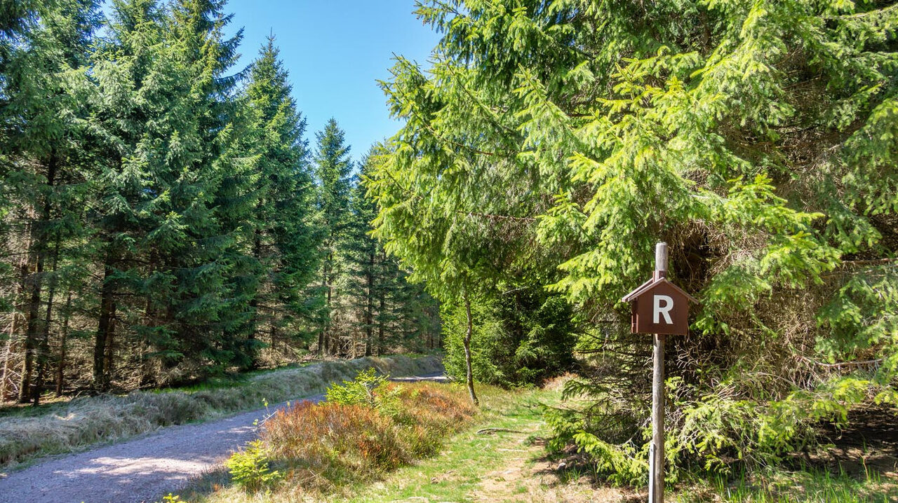 Thüringer Wald - online Aktivurlaub für Naturfreunde ab 139,-